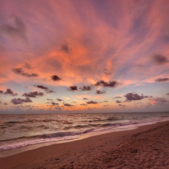 Meet your Posher, Kella - Picture 1 of 1